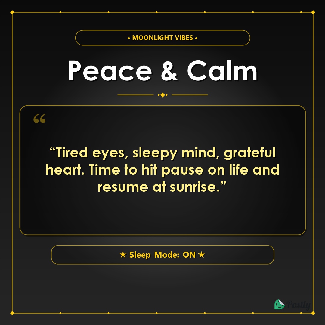 Good Night Status 5