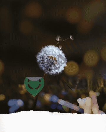 Motivational GIFs GIF 38