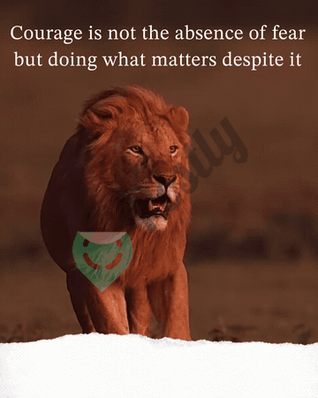 Motivational GIFs GIF 45