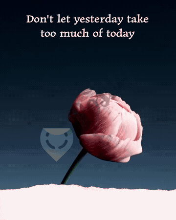 Motivational GIFs GIF 46