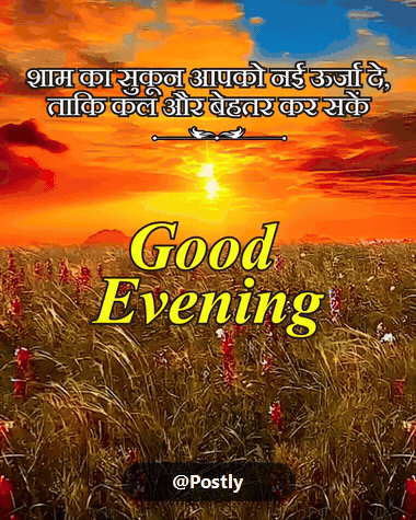 Good Evening Whatsapp Status 2