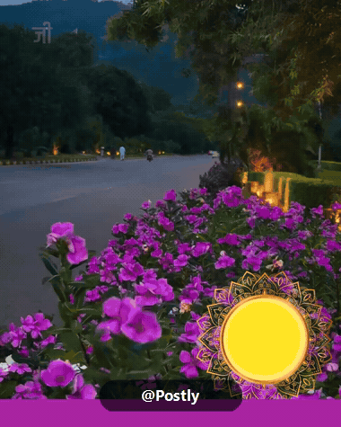 Good Evening Whatsapp Status 6