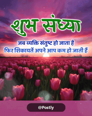 Good Evening Whatsapp Status 8