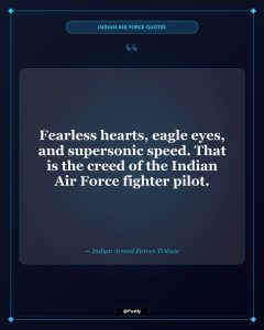 Indian Air Force Quotes 5