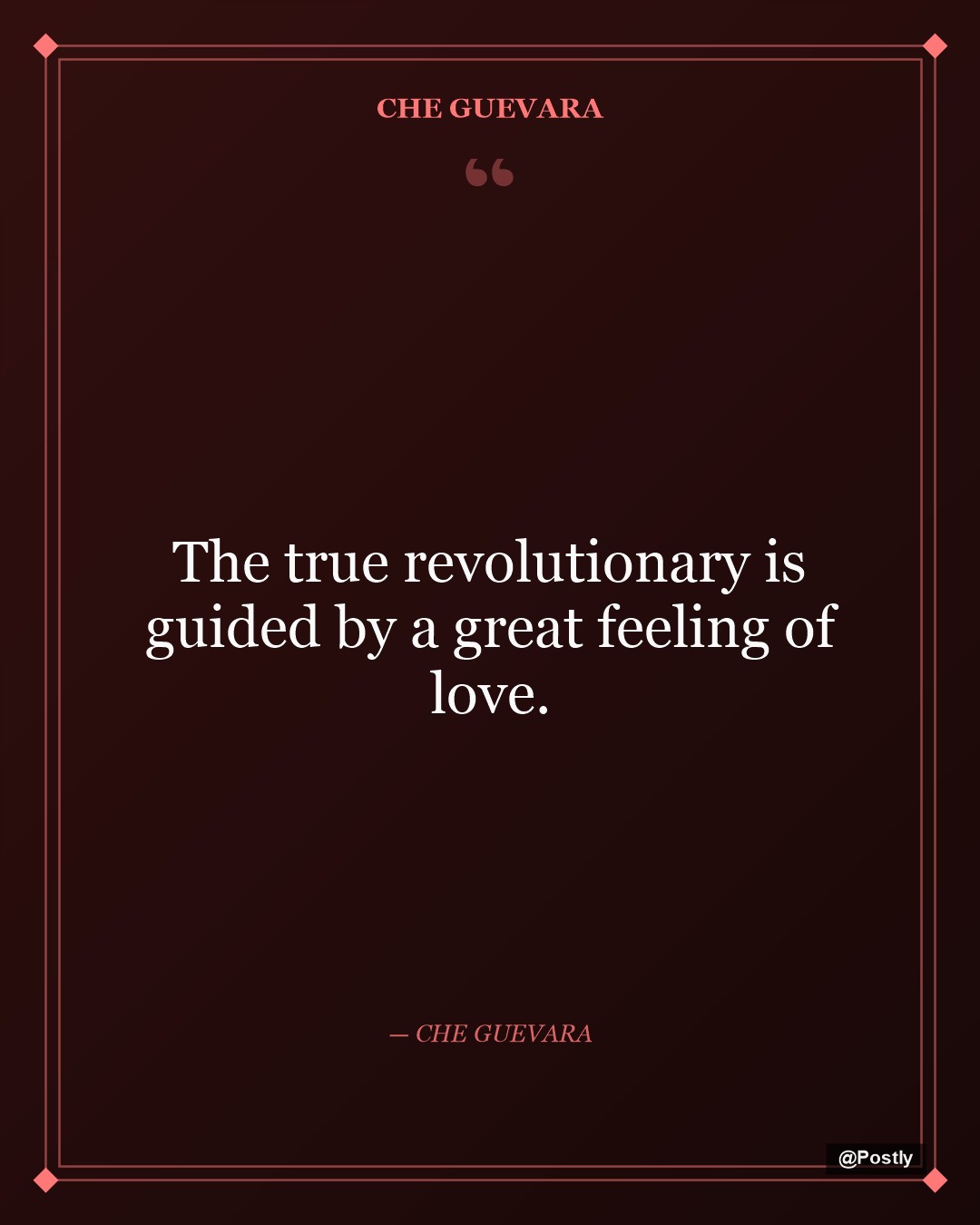 Che Guevara 1