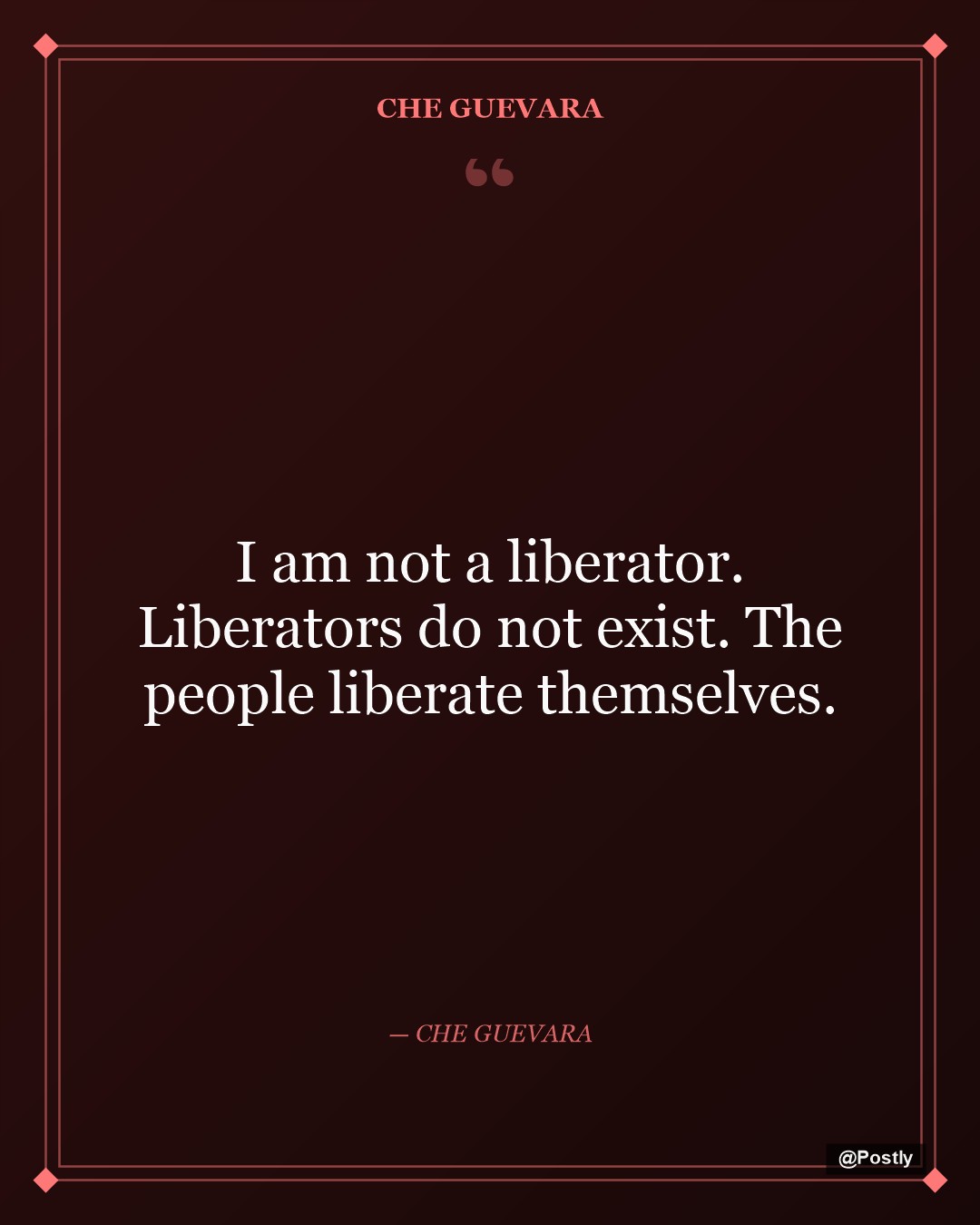 Che Guevara 9